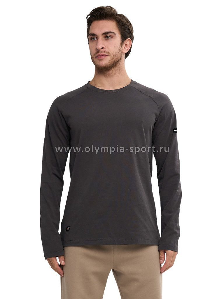 Лонгслив мужской Strobbs E2411-1 темно-серый